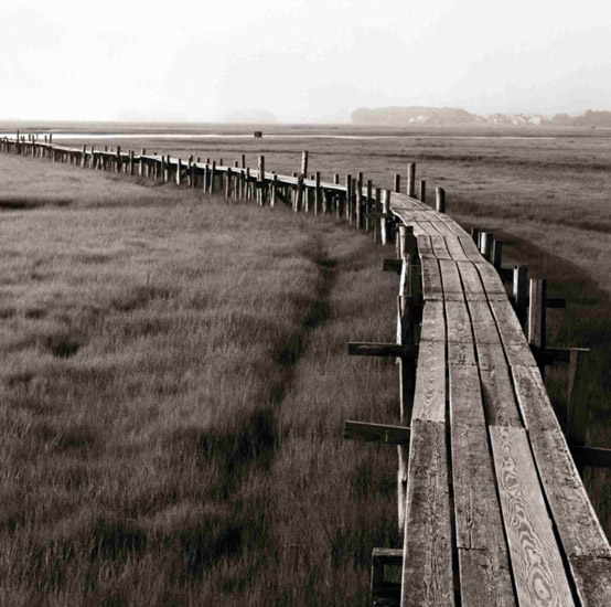 Kompatibelt Landskap Jahrriesnge  till wooden-bridge-lpf00851 