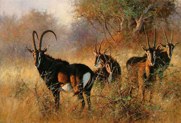 Kompatibelt djur Jahrriesnge  till antelope-lpf02541 
